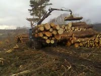 Большая нагрузка на форвардер Rottne F14