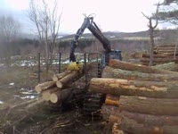 Rottne F-14 форвардер с большой нагрузкой