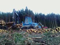 Rottne F12 и F14 Форвардеры