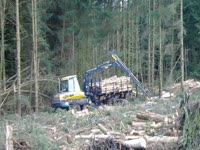 Форвардер Ponsse Elephant