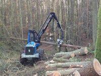 Rottne H14B Харвестер в Galloway