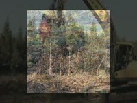 Машина для измельчения пней прикрепленная к Lasco сплиттер