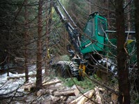 Timberjack 1270D с головкой 758HD