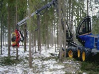 Rottne H11 8WD харвестер прототип с головкой SP451LF