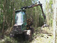 Форвардер Timberjack 810B