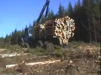 Rottne SMV 12 тонн