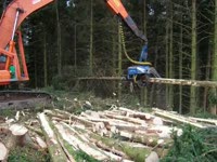 Daewoo 220 Keto 500HD и Rottne F12