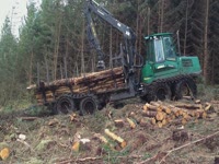 Timberjack 1110D