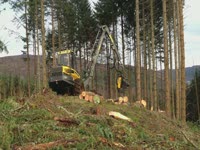 Ponsse Bear, работающий в Северо-Шотландском нагорье