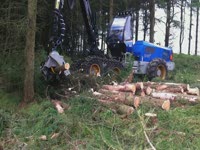 Rottne H14B харвестер, работающий в Шотландии