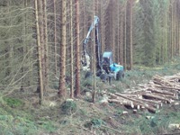 Харвестеры Rottne H20, работающий в Galloway