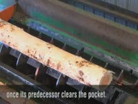 Интегрированный лесопогрузчик компании USNR