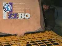 Бетоносмеситель БП-2Г-750 двухвальный без скипа