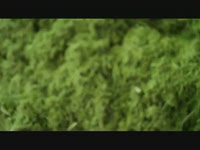 Получение гранул из травы