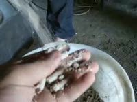 Гранулятор матричный «УПГМ-600»