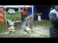 Выставка Интерлес (INTERLES) - Шоу-программа компании STIHL