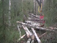 FARMI 4670-100 ext. Комбинированный лесной прицеп