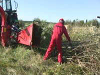 FARMI 180 HFC - обработка свежей ивы