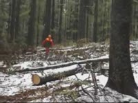 FARMI JL501 трелевки лебедки