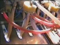 Линия розлива напитков 400- 600 бут час- Продвижение-ПЭТ