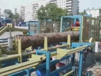 Линия распиловки тонкомерной древесины из брусующего и лафетного многопильных станков