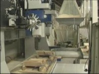 SAOM P22 double Twist