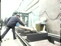 Пилорама Дисковая Ц2УБС-2