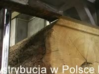 Pilous Forestor CTR 1000H Rem-Tech z doposażeniem