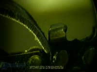 Заточка цепи для бензопилы