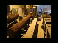 Пилорама EWD Esterer Bautex