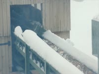 Пилорама немецкая EWD Esterer в Лесосибирске. Bautex