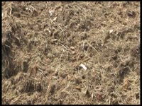 Мульчер и трактор Variotrac 400 PLAISANCE