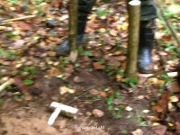 Куй!.. Лесная кузня или метод ШУХЕРа