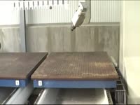 UNITEAM Деревообрабатывающий центр с ЧПУ WIND 2R 3421-8