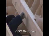 Дом из оцилиндрованного бревна