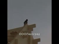 Монтаж стропильной системы