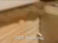 Монтаж профбруса ( гребенка) на джут