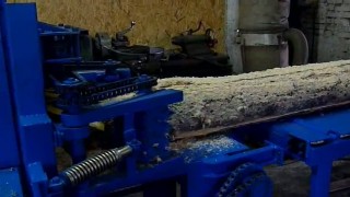 Дисковый брусовальный станок "Вепрь 700М". Март 2013.