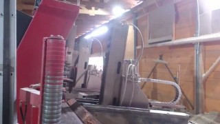 ANGELIM VERMELHO (DINIZIA EXCELSA DUCKE) - cutting with D9 circular saw mill by StrojCAD