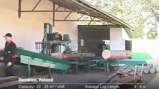 LT300 - Industrial Sawmill AWMV by Wood-Mizer
