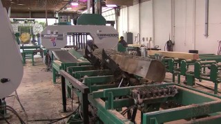 Flat Chuck WTHR NBC Indianapolis saws lumber with Wood-Mizer