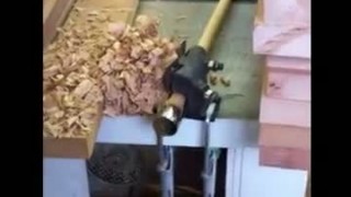 Dewalt + dowel maker Veritas