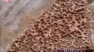 Bellinzoni Sand Plus