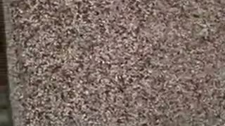 Закидываем гальку на стену