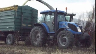 CLAAS Jaguar 850 Energiafűz betakarítás Szekszárd 2011 - Техника для сельского хозяйства