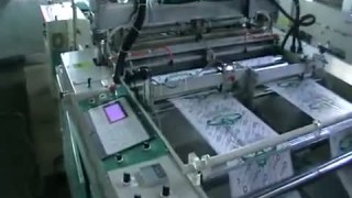 Пакетоделательная машина BG-pack-Sp-450Hx2 видео №1