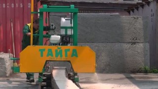 Распиловка на ленточной бензиновой пилораме видео.