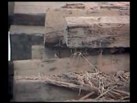 Измельчение шпал на Hammel VB 750 HHR