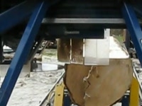 Однодисковая установка Ладога