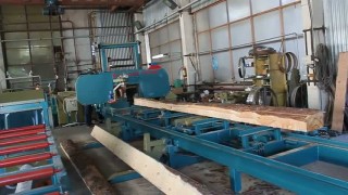 Пилорама ленточная «Авангард-ЛП-80-800»